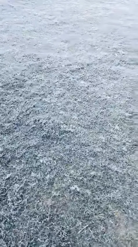 snapsave-app_1439381061087933_hd