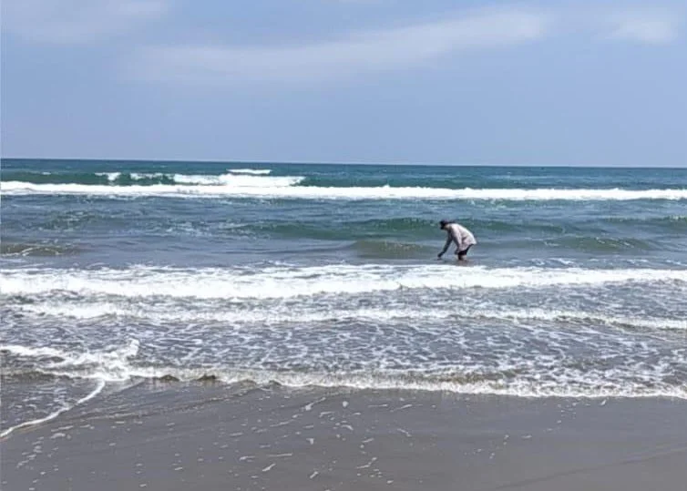 171e6793-4fee-4f7d-9c52-7306b25e3c3f