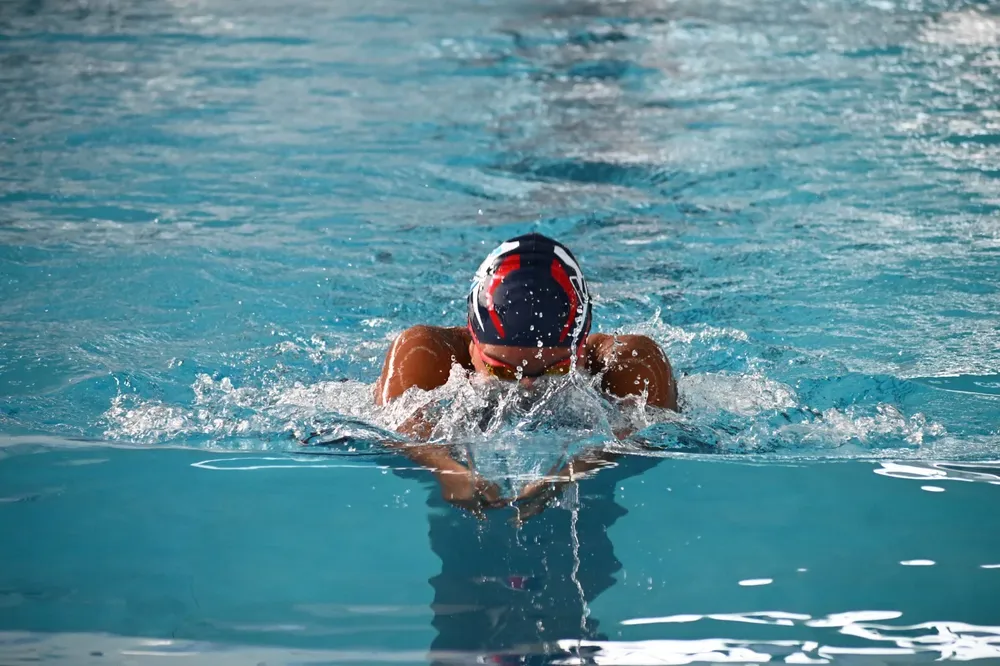 cbf7b54c-e6d1-4bea-ab9f-329217d1e58c