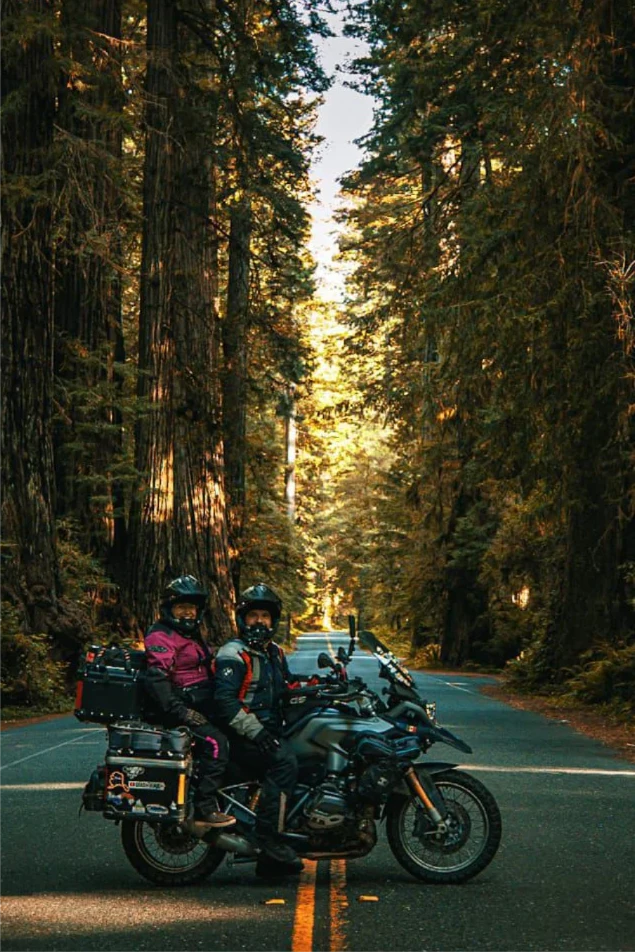 WhatsApp Image 2026-03-02 at 13.37.39