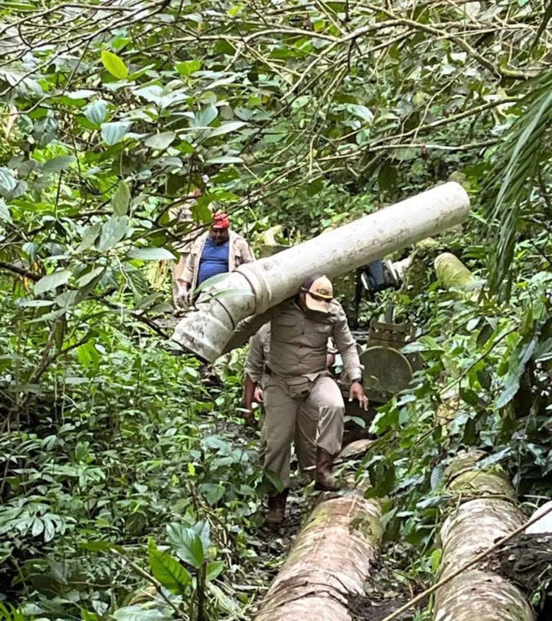 WhatsApp Image 2026-01-23 at 11.09.51 (1)