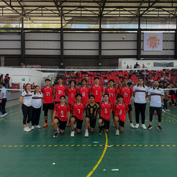 WhatsApp Image 2026-02-18 at 15.51.51 (2)