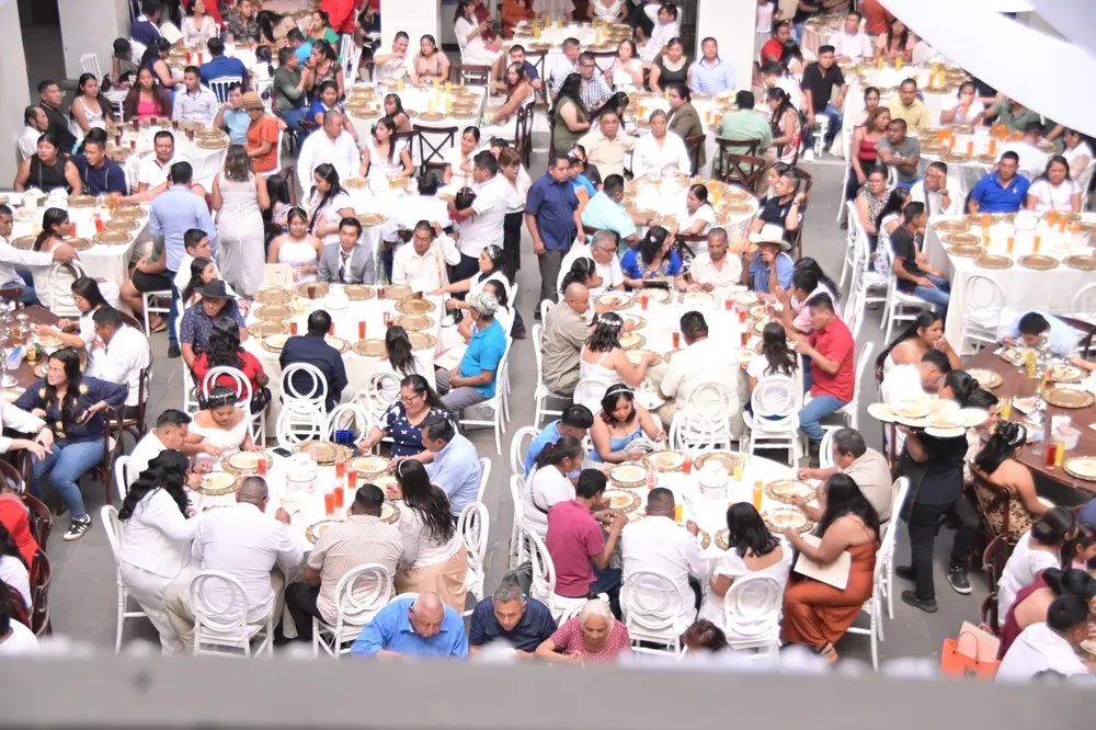 WhatsApp Image 2026-02-11 at 15.33.24