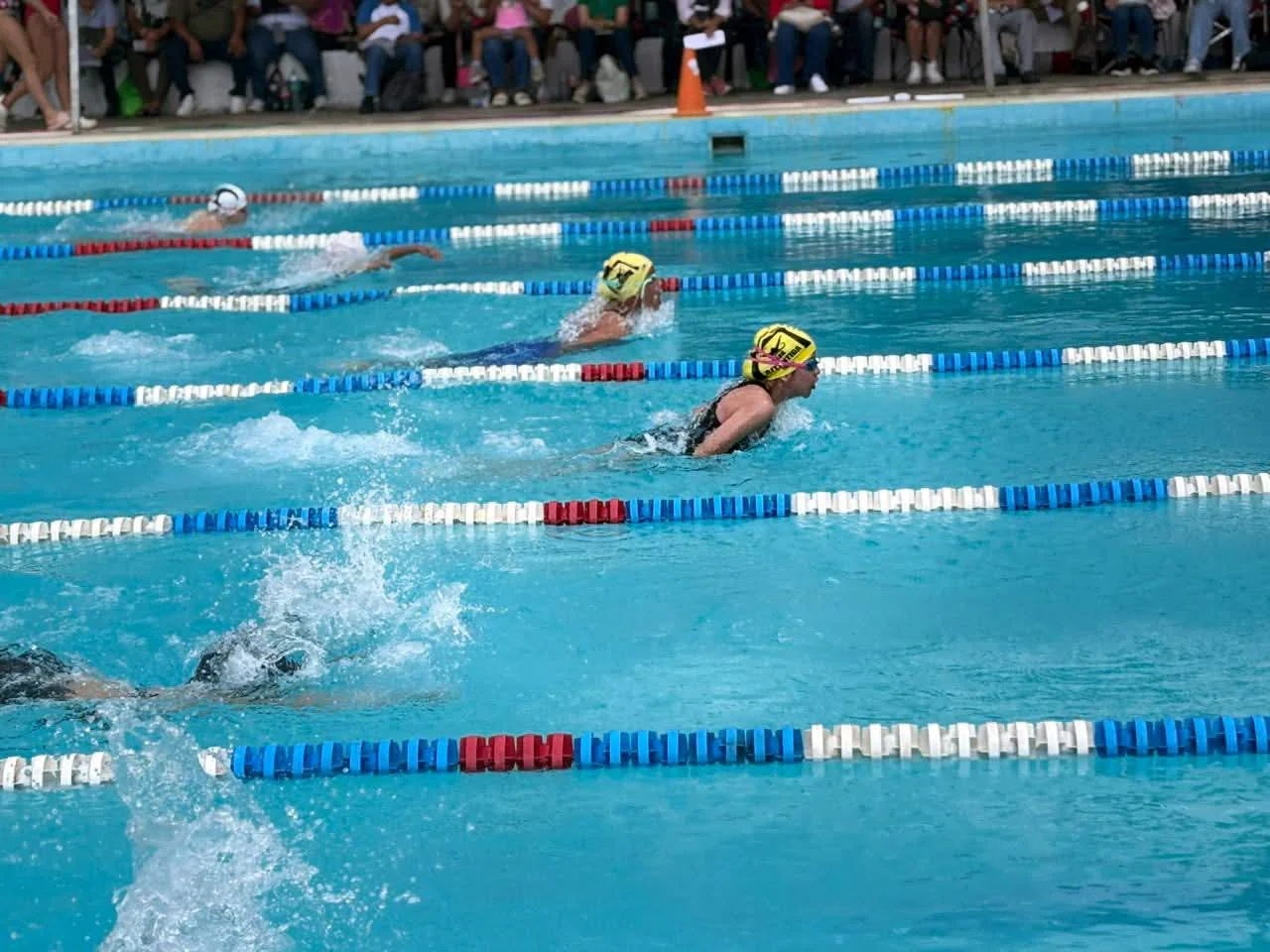 Natación1.jpg