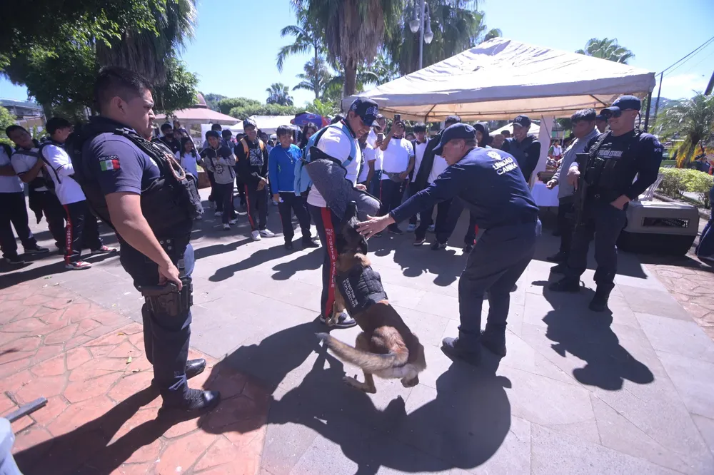 WhatsApp Image 2026-02-03 at 13.38.12