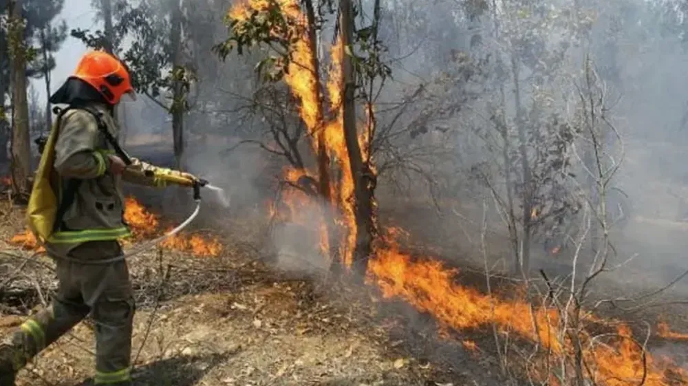 Captura de pantalla 2026-02-25 a la(s) 12.29.48