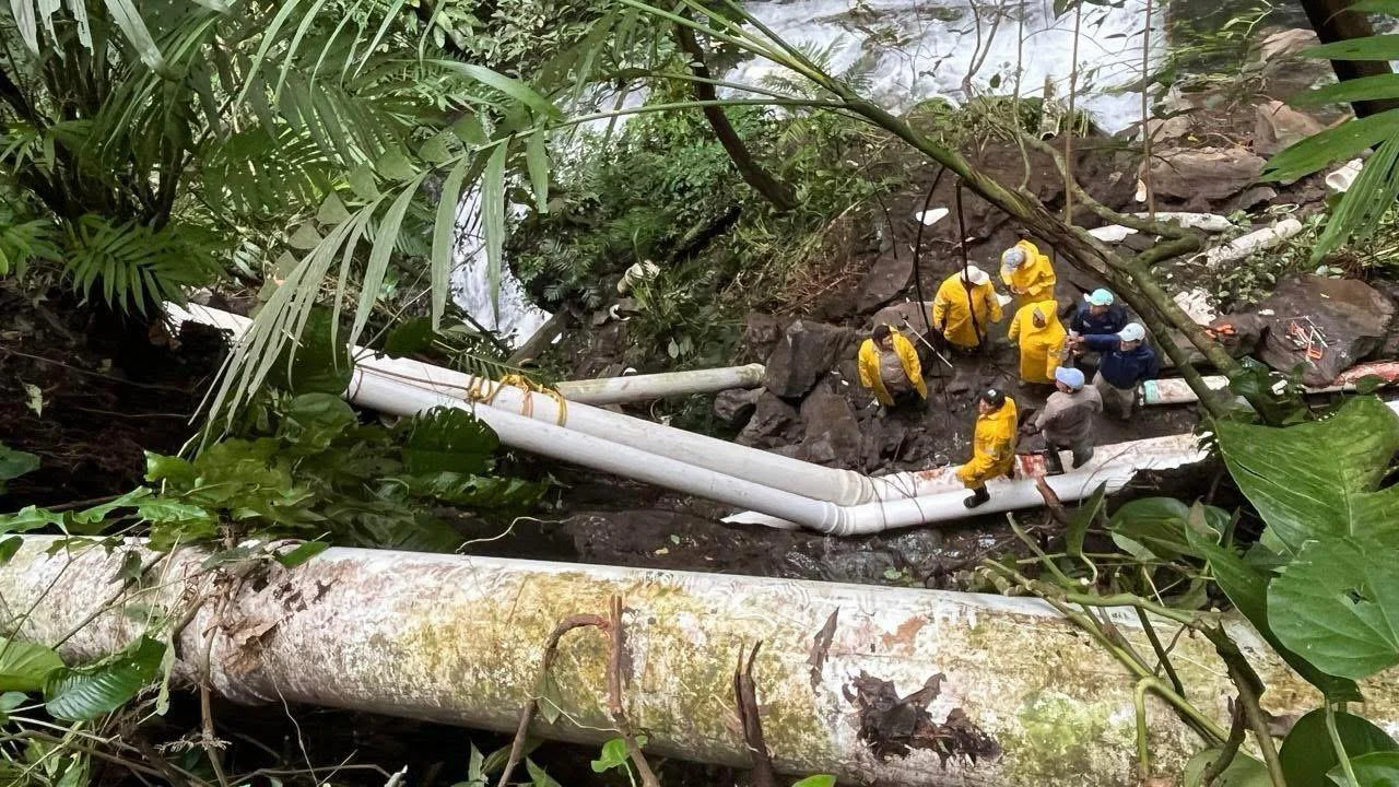 WhatsApp Image 2026-01-23 at 11.09.51 (2)