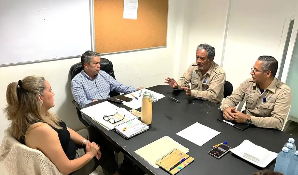 WhatsApp Image 2026-02-16 at 20.46.28