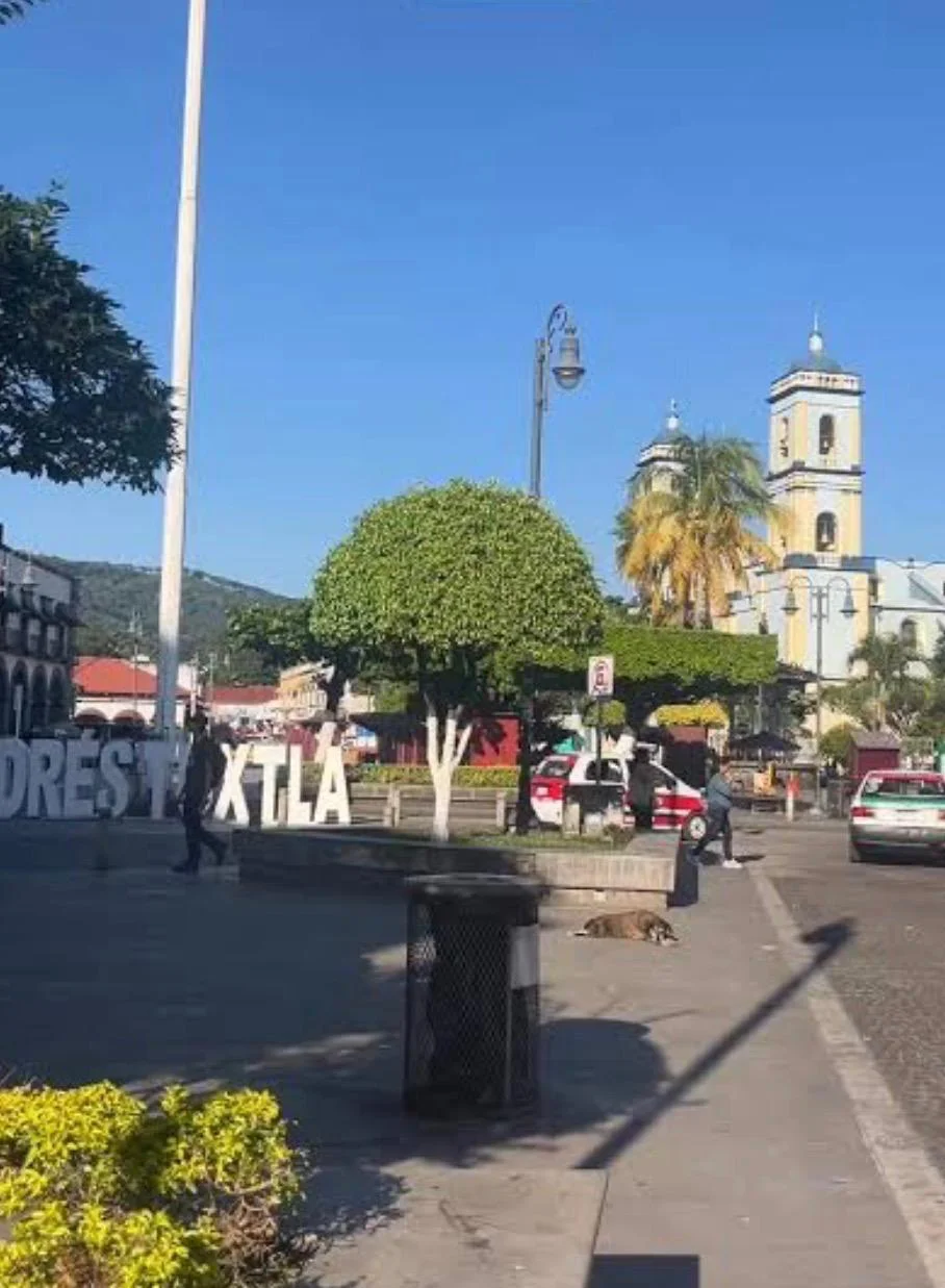 WhatsApp Image 2026-01-28 at 11.10.54 (1)