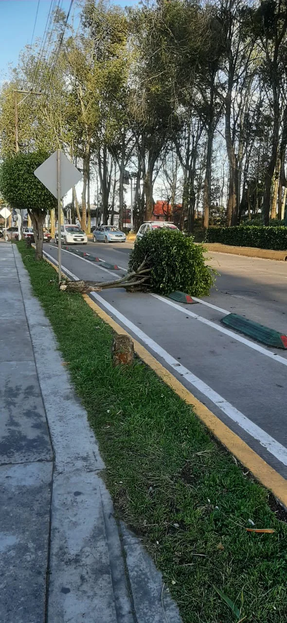 617a01b2-28dc-4995-9c9d-1fa24fc71d93