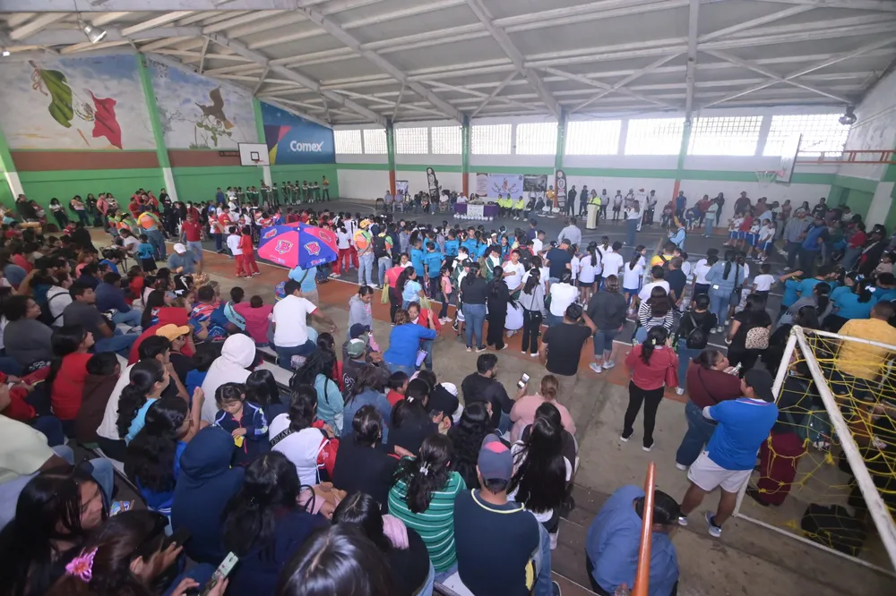 WhatsApp Image 2026-02-12 at 13.33.23