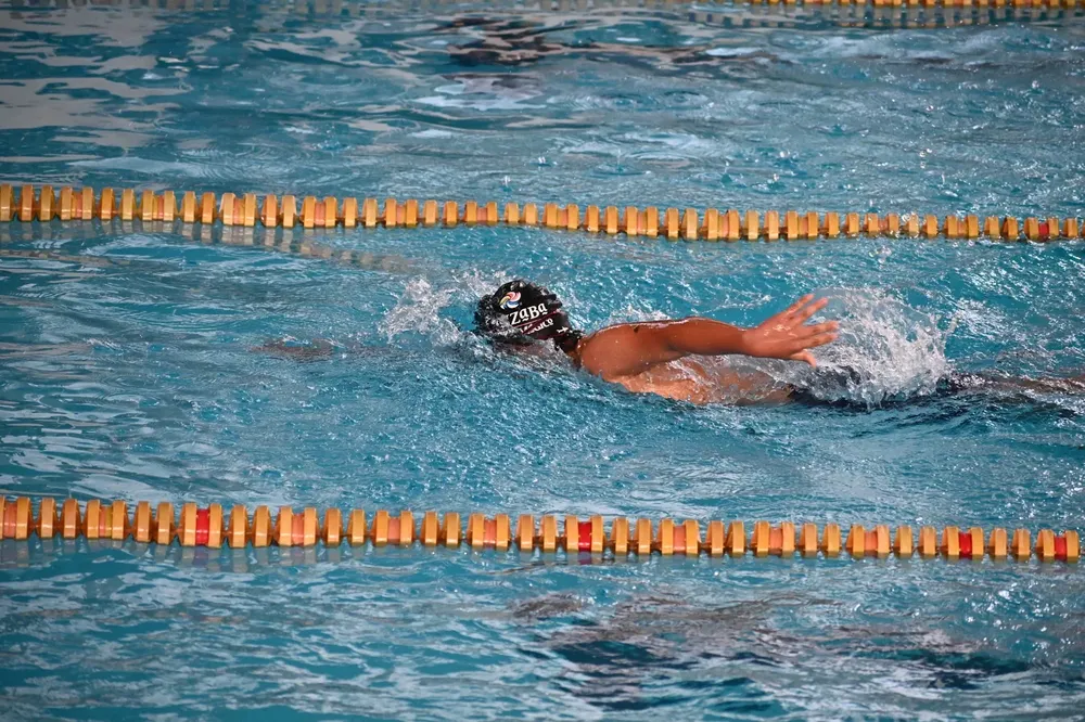 dc9cd479-365b-4b90-b8a8-cbb5e7d2dd5a