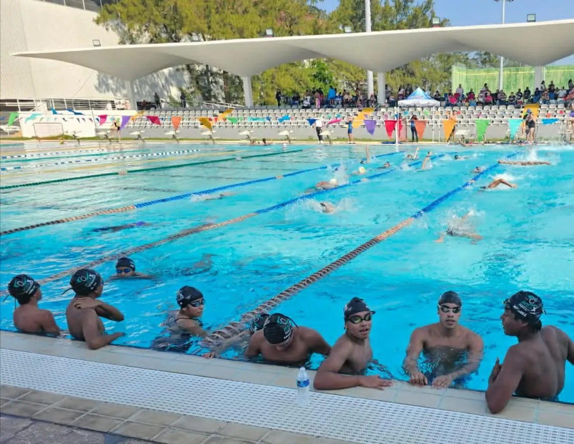 WhatsApp Image 2026-01-15 at 14.08.06 (1)