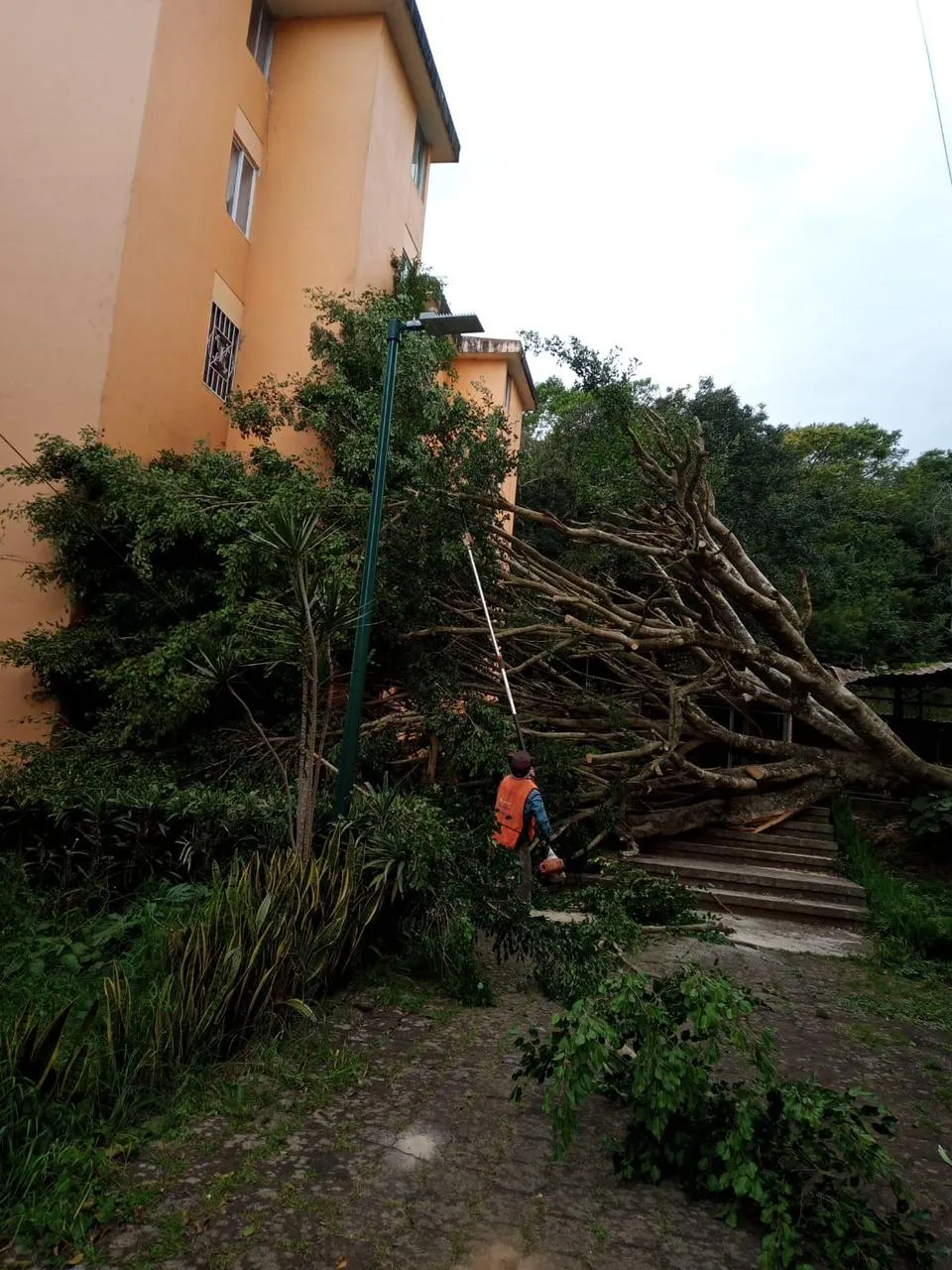 WhatsApp Image 2026-01-15 at 10.37.57 (1)