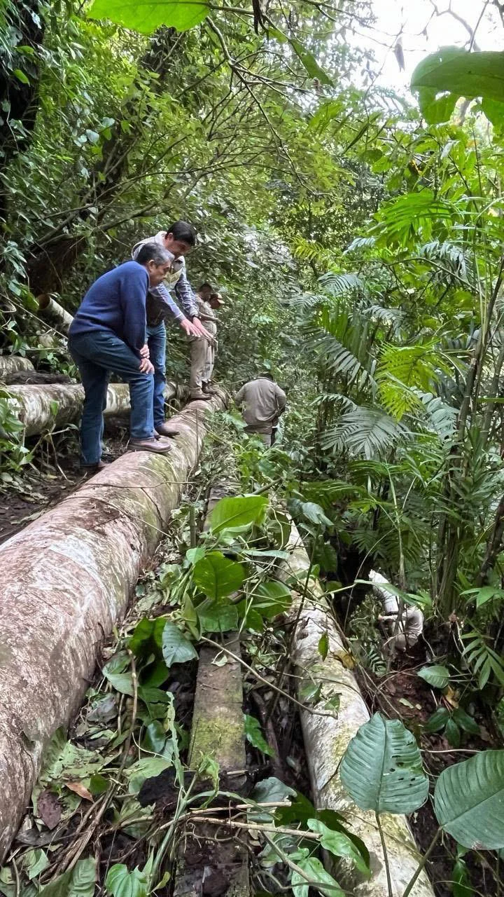 WhatsApp Image 2026-01-23 at 11.09.44 (1)