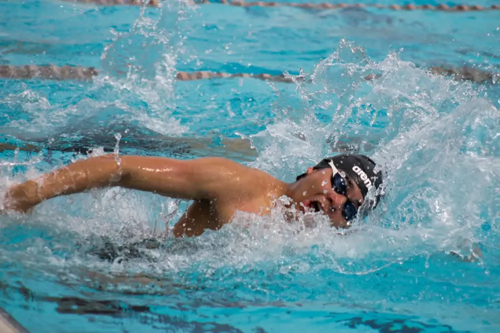 WhatsApp Image 2026-01-15 at 14.08.06