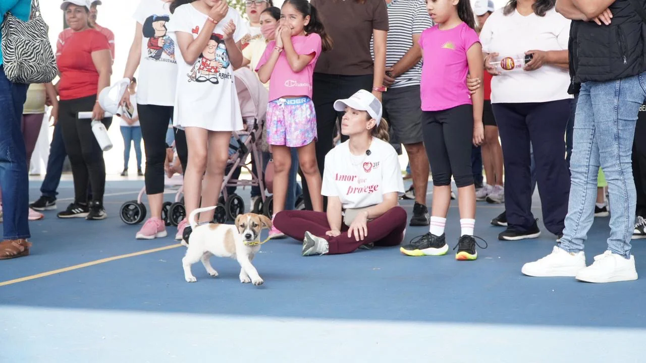 5313ec43-0538-41f0-98b9-f7dd7a53fa9a