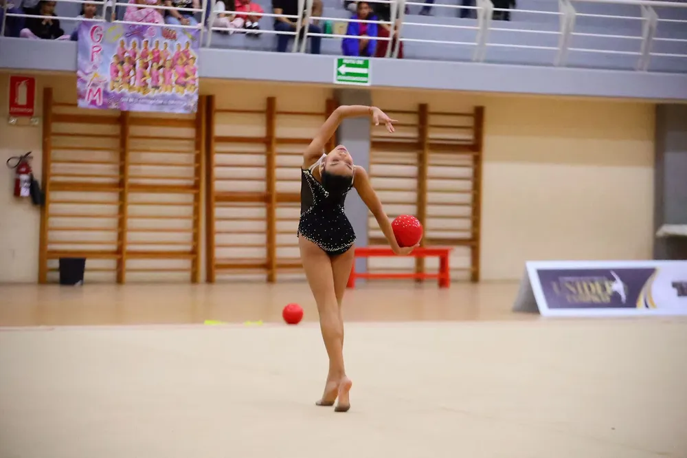 WhatsApp Image 2026-03-04 at 12.05.59