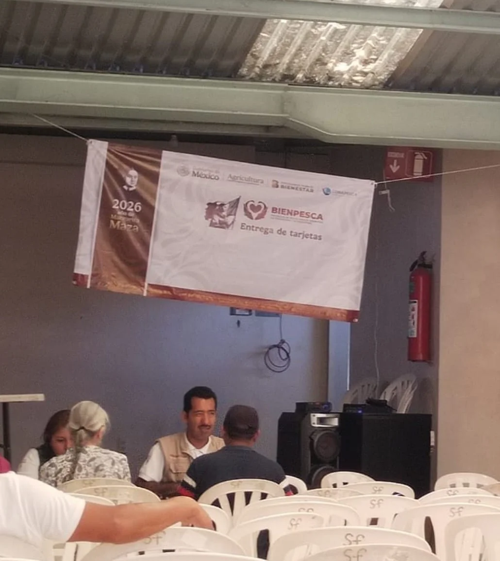 WhatsApp Image 2026-03-11 at 14.33.26