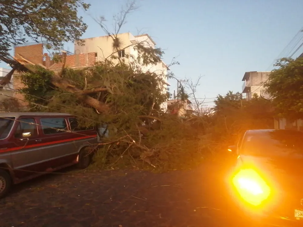 fd91e0e3-ff76-47fc-a74a-a989cb0f2732