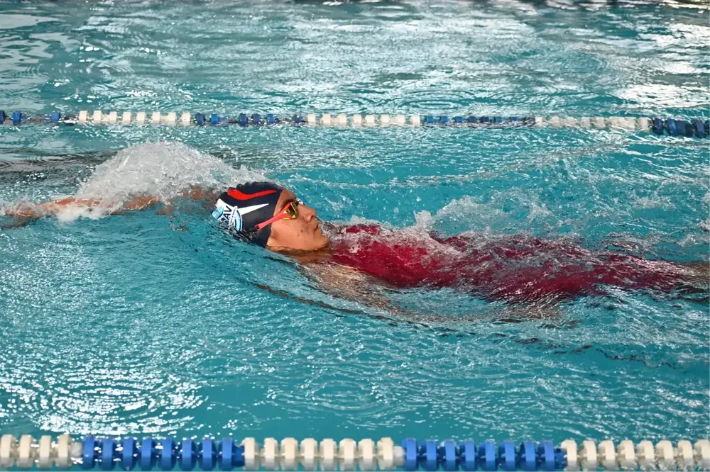 2dfa8a02-847e-495f-8ed1-8bfc2a814155