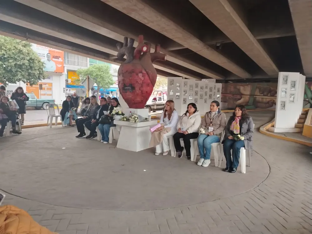 WhatsApp Image 2026-01-14 at 13.21.28