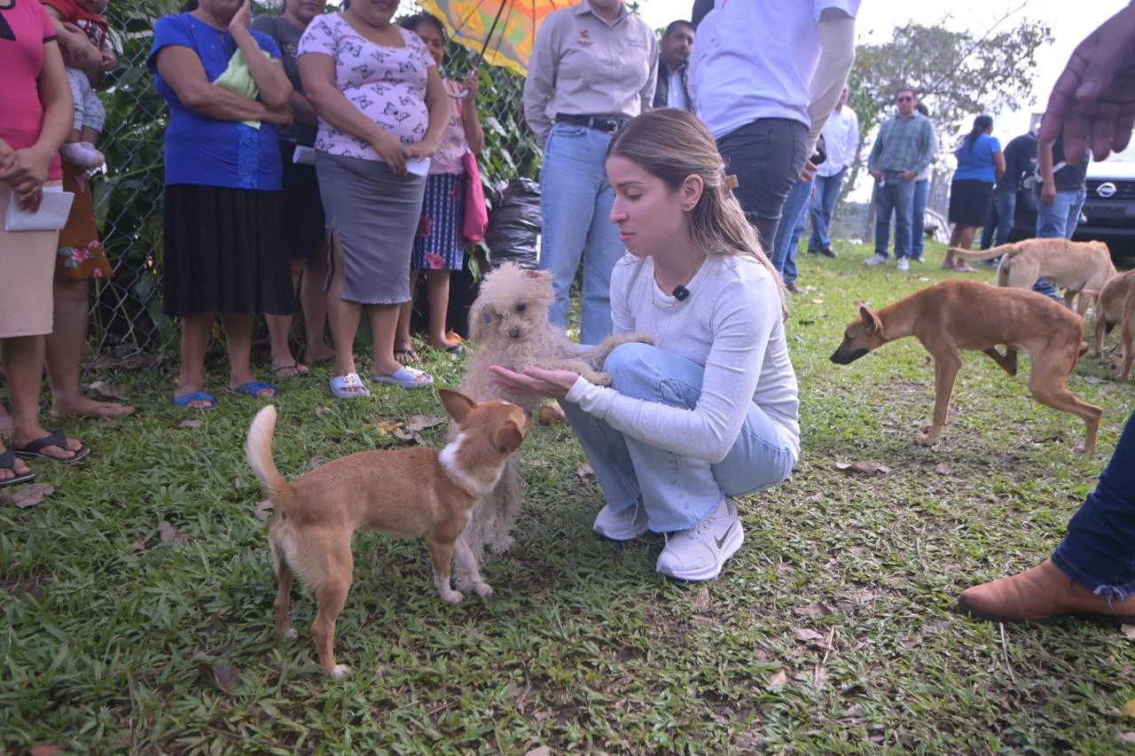 WhatsApp Image 2026-01-29 at 17.46.25 (2)