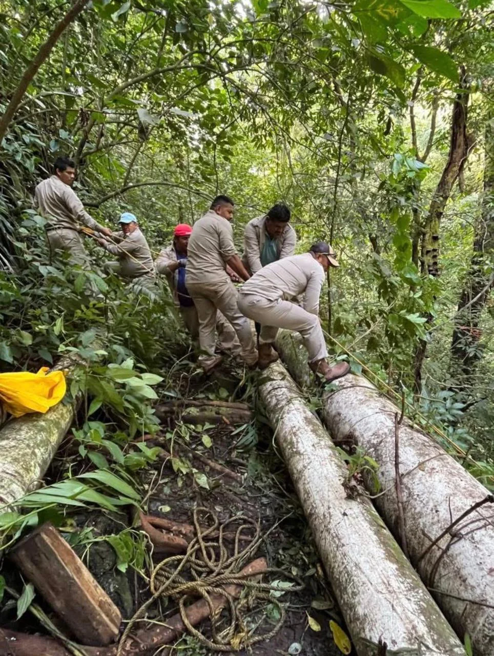 WhatsApp Image 2026-01-23 at 11.09.51