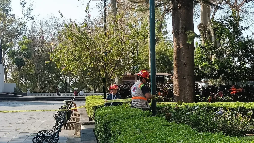 WhatsApp Image 2026-03-12 at 11.03.46