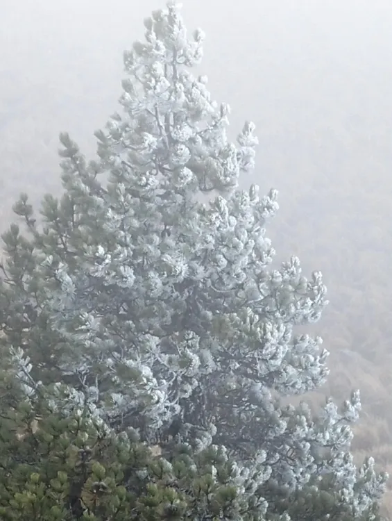 WhatsApp Image 2026-02-02 at 12.48.10 (1)