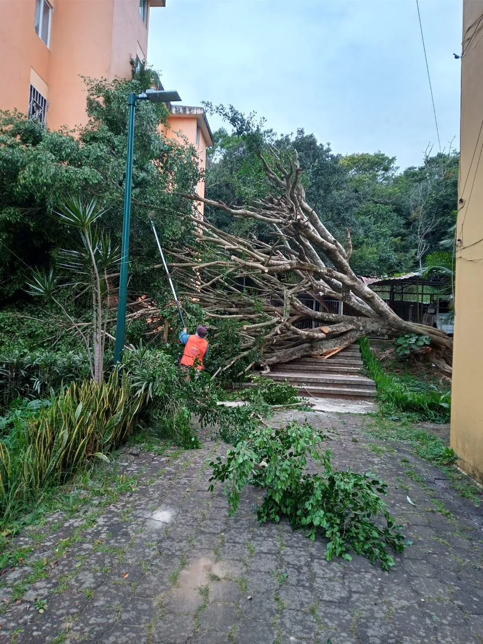 WhatsApp Image 2026-01-15 at 10.37.57