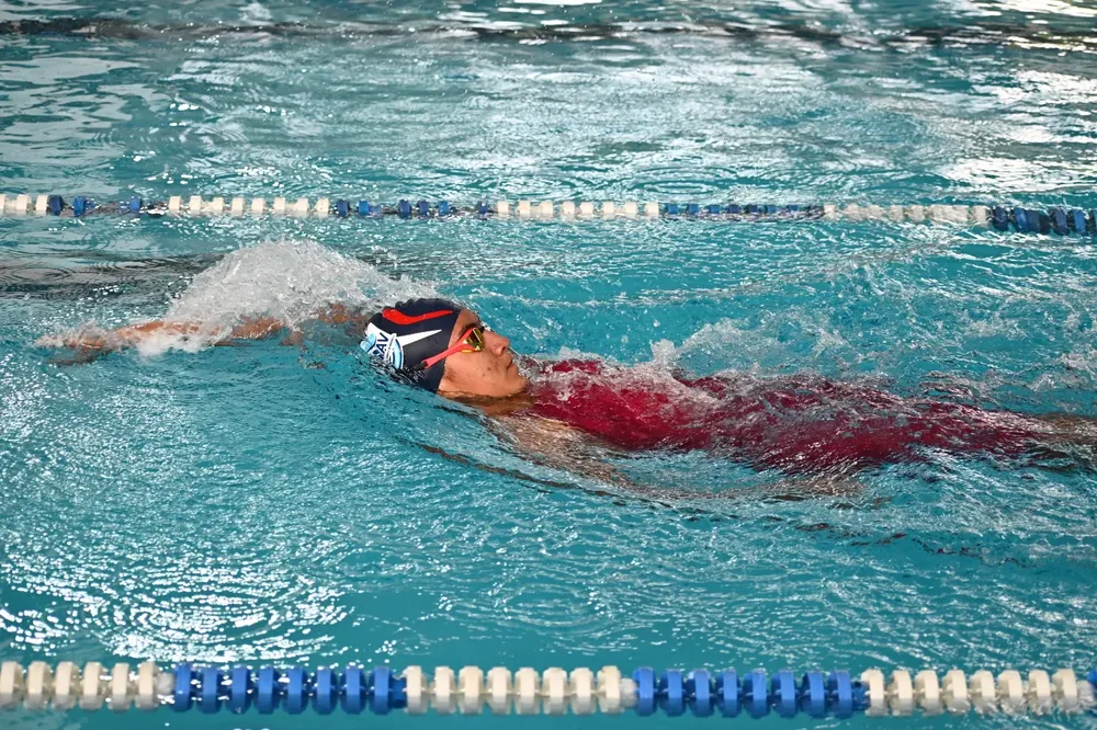 2dfa8a02-847e-495f-8ed1-8bfc2a814155