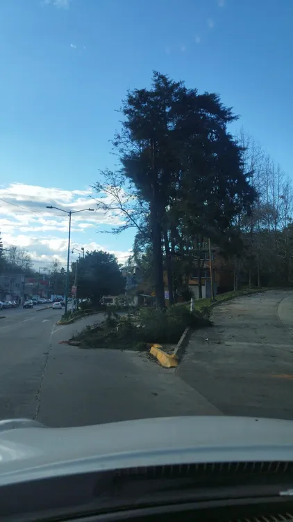 87851efa-0d52-4f05-9bc5-82853e329489