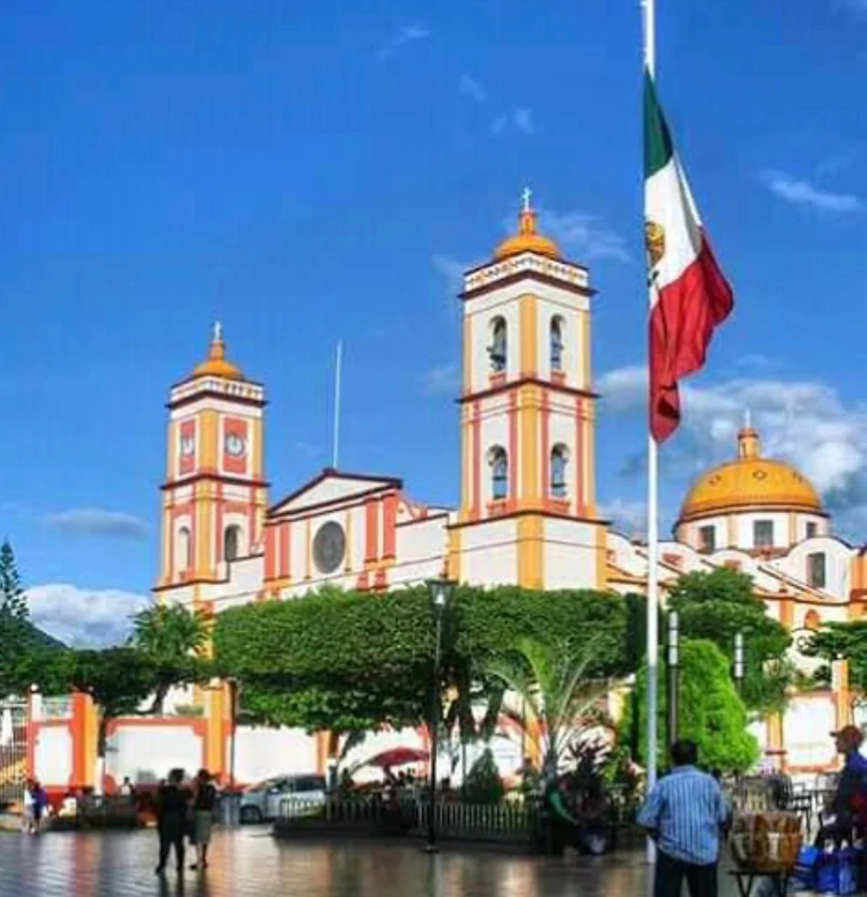 WhatsApp Image 2026-01-28 at 11.10.54