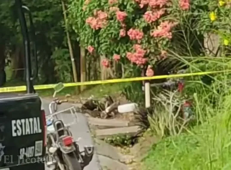 WhatsApp Image 2026-02-04 at 12.19.12